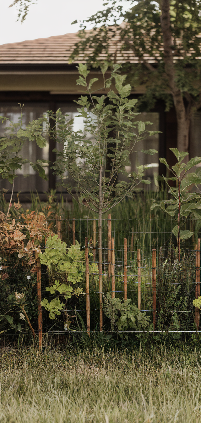 10 Amazing Front Yard Fence Ideas