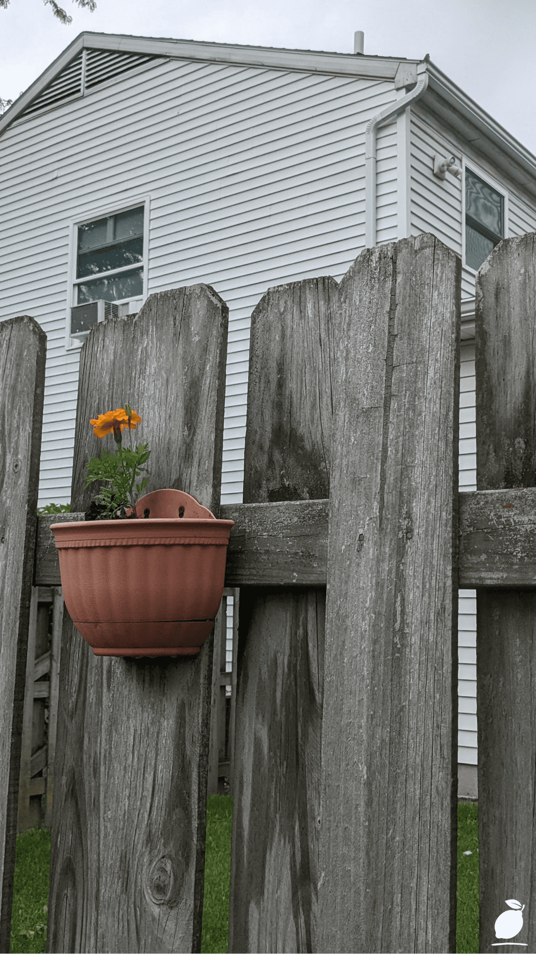 How to Maximize Your Outdoor Space with Small Backyard Ideas