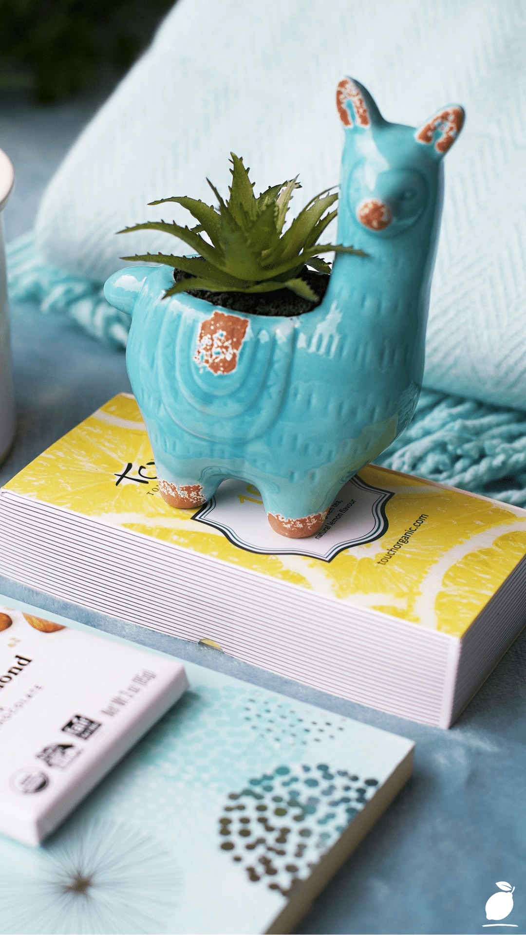 The Guide to Crafting a Silent Auction Gift Basket Ideas