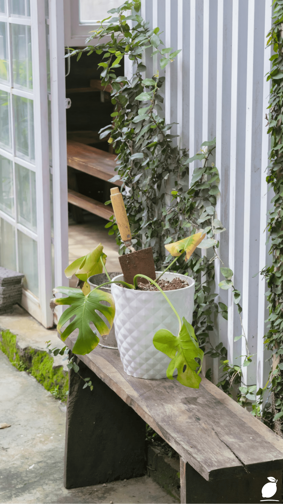 Small Front Porch Ideas: How to Create a Modern Farmhouse Sanctuary