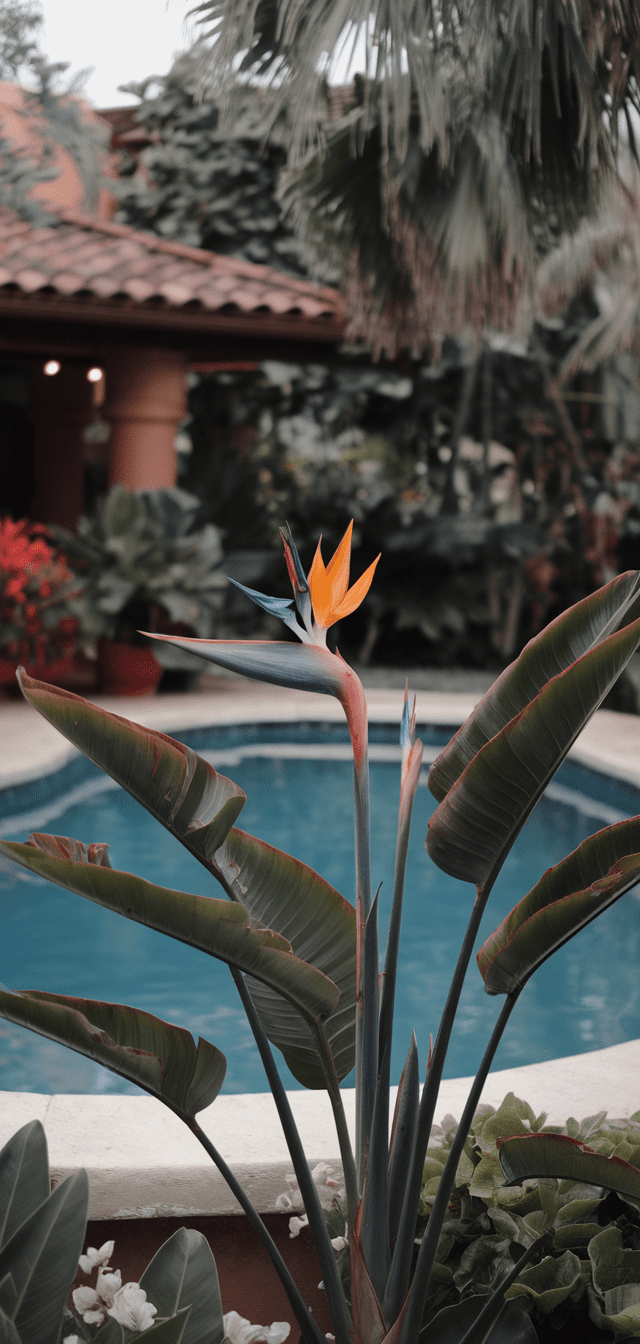 10 Best Plants Around The Pool