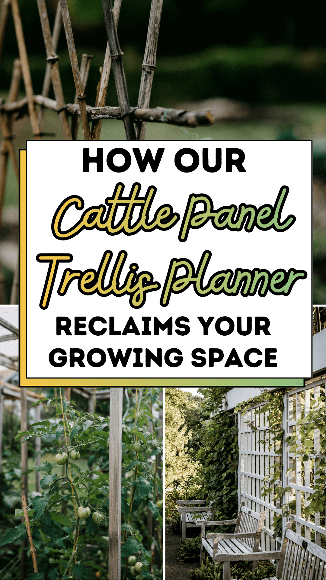 How Our Cattle Panel Trellis Planner Reclaims Your Growing Space