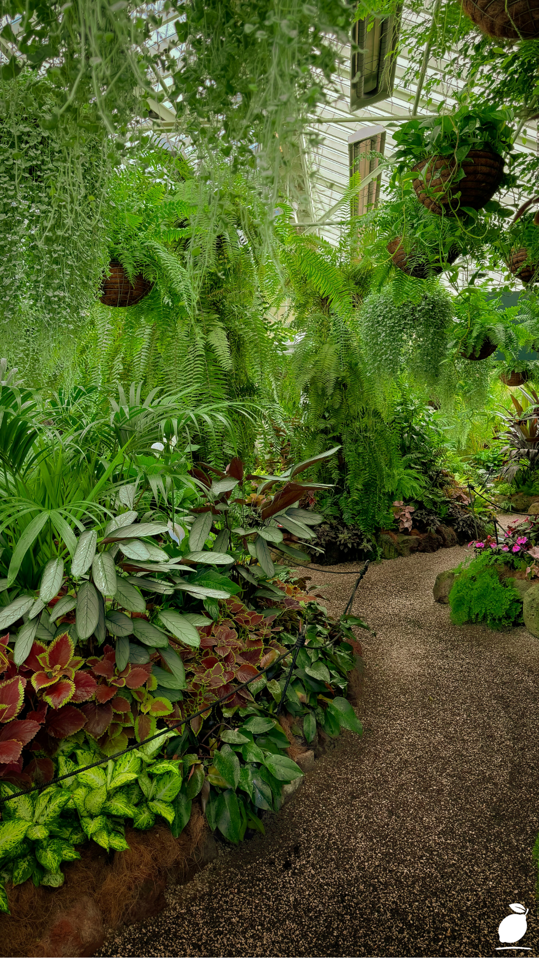 3 Steps to Bring Your Magical Garden Ideas to Life