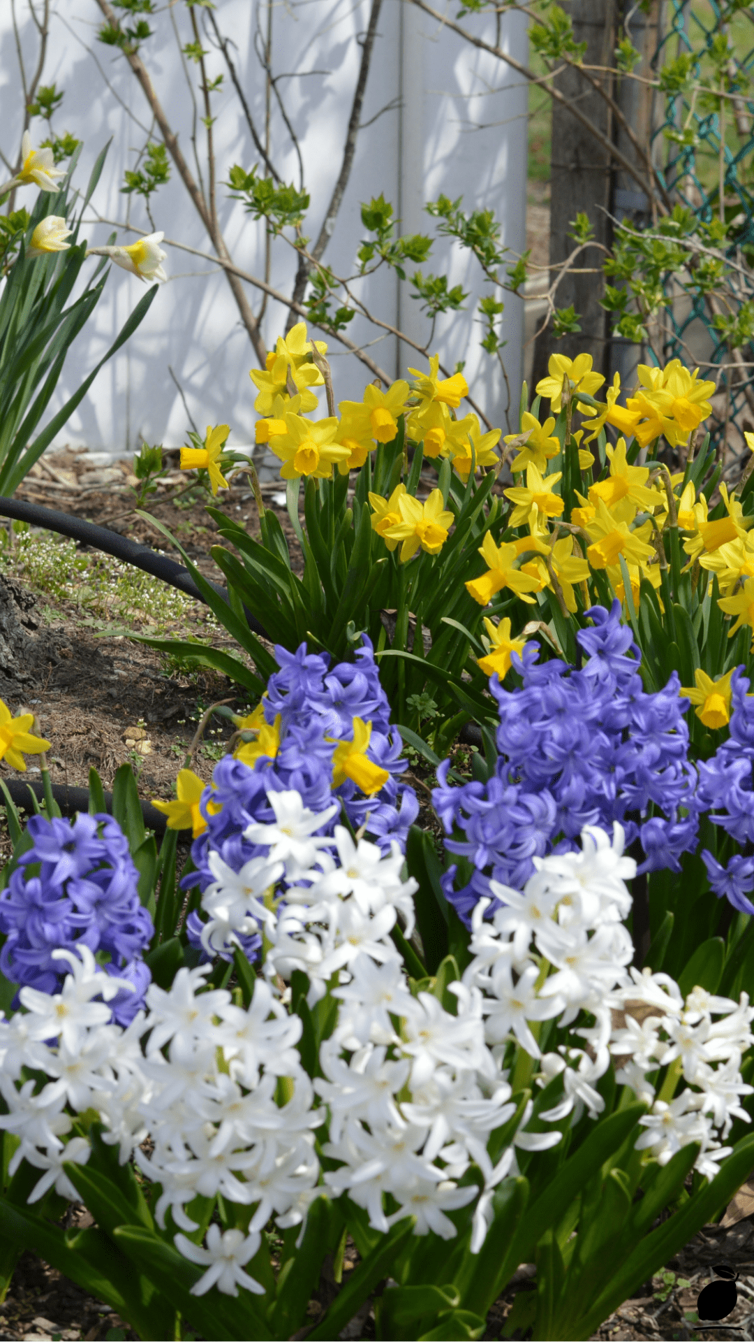 How to Design the Perfect Flower Beds in Front of House