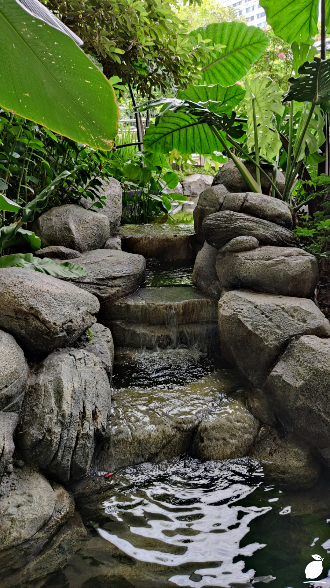 Transforming Your Garden with the Right Types of Landscaping Rocks