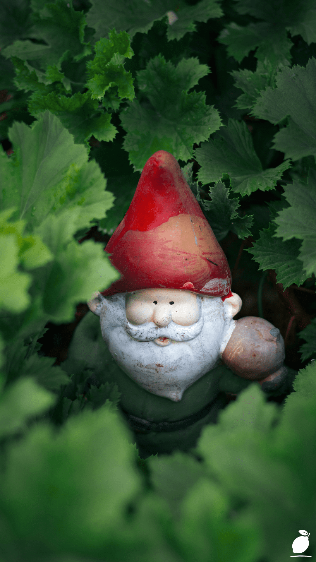 How Fairy Garden Ideas Can Ground Your Busy Life