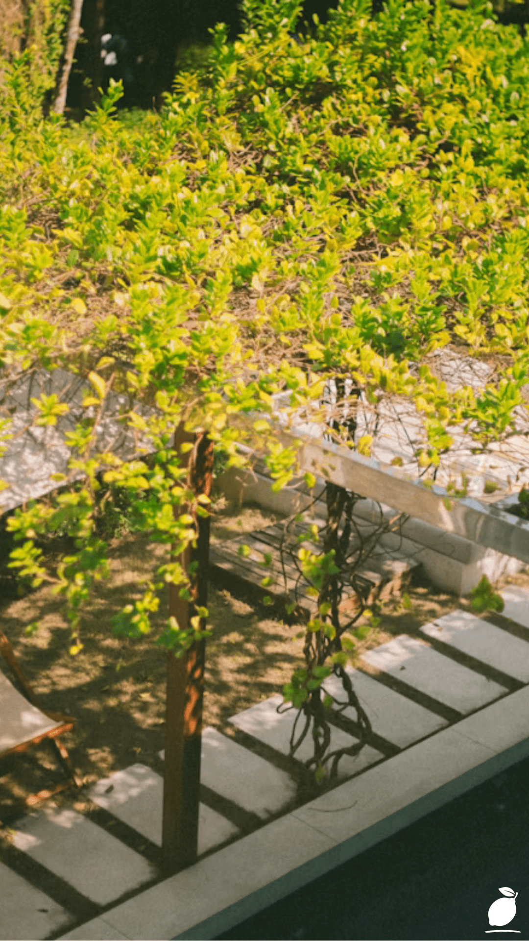 Transforming Your House with Landscaping Ideas Around Deck Areas