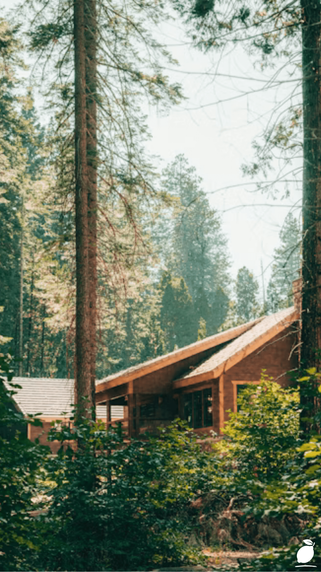 Easy  Guide to the Hippie Garden Ideas