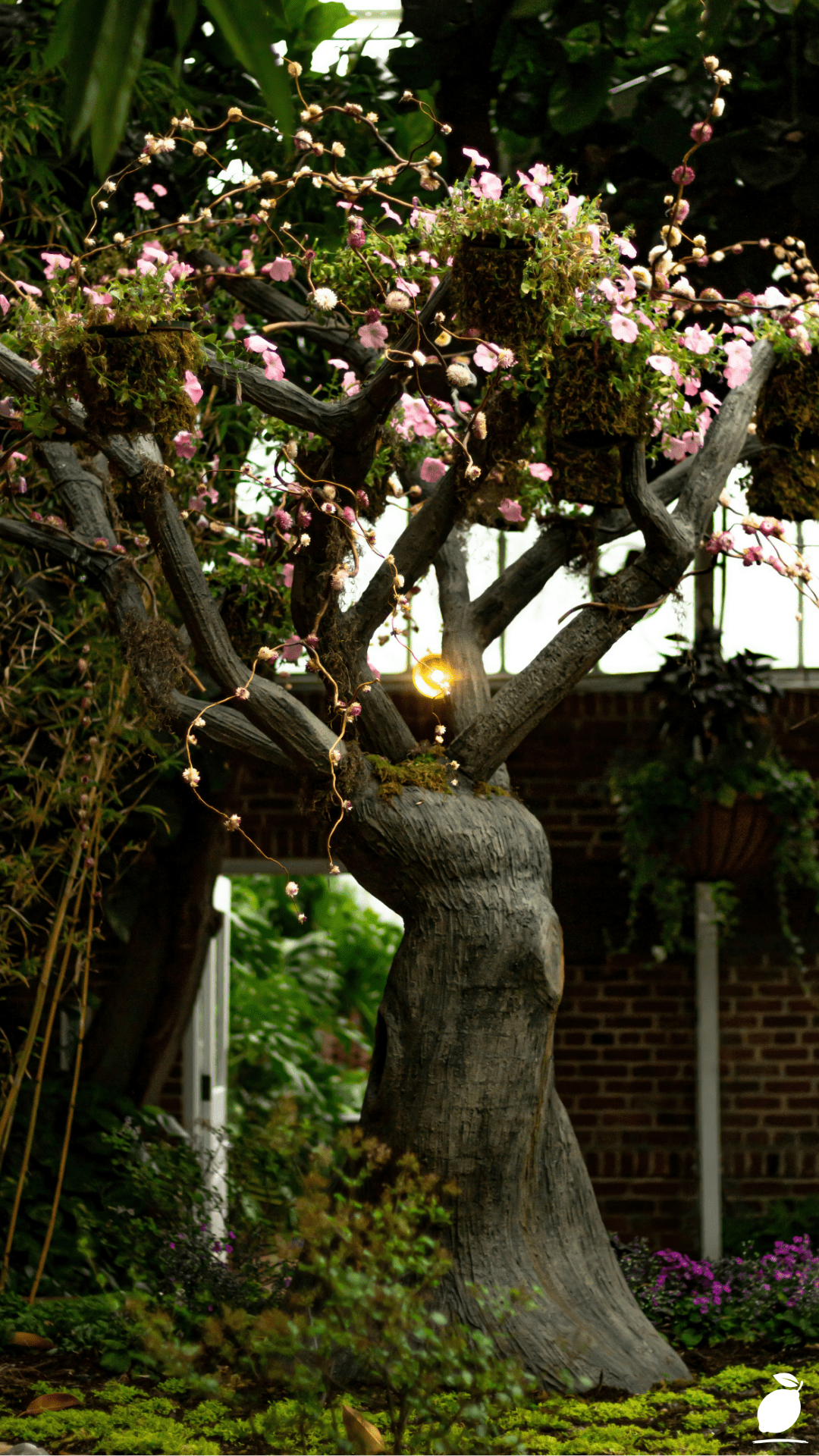 3 Steps to Bring Your Magical Garden Ideas to Life