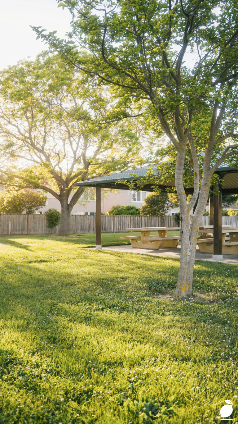 The Best DIY Backyard Ideas for Your Home - Easy Peasy Life Matters