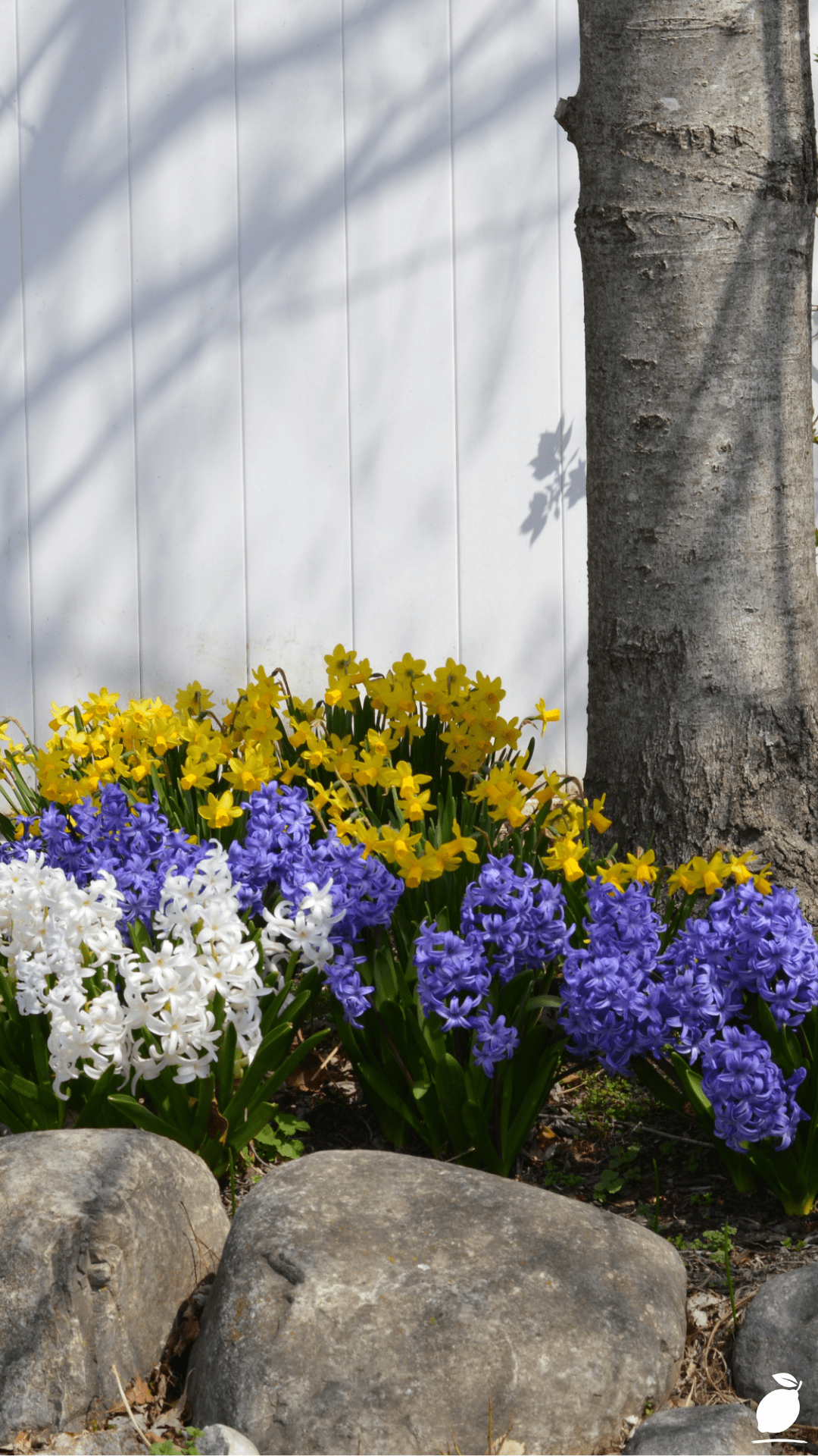 How to Design the Perfect Flower Beds in Front of House