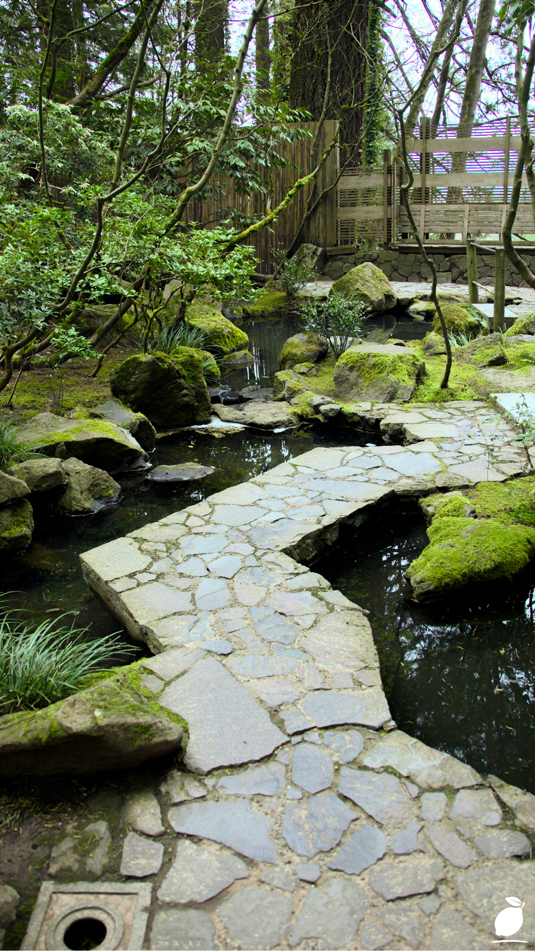 Transforming Your Garden with the Right Types of Landscaping Rocks