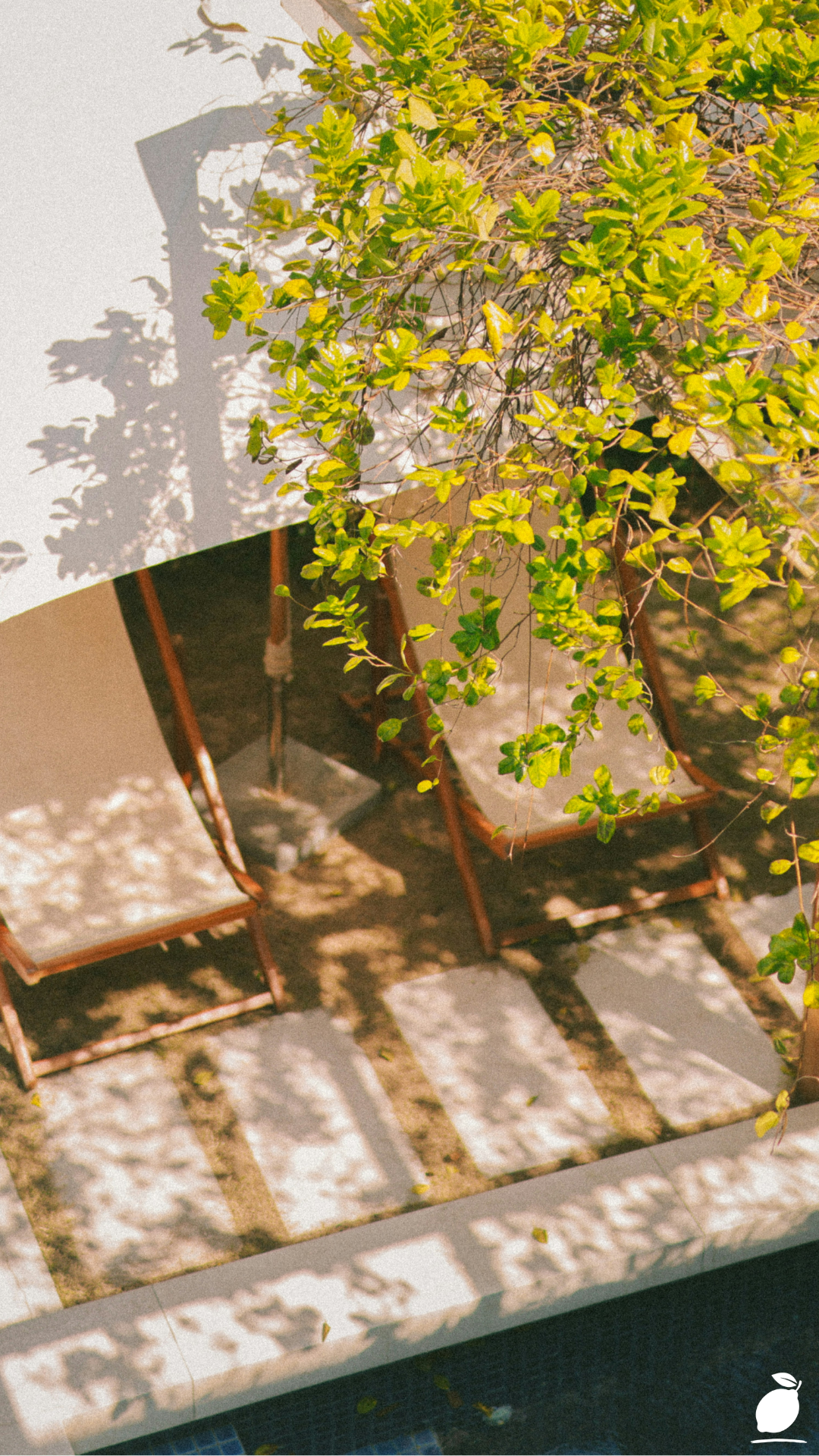 Transforming Your House with Landscaping Ideas Around Deck Areas