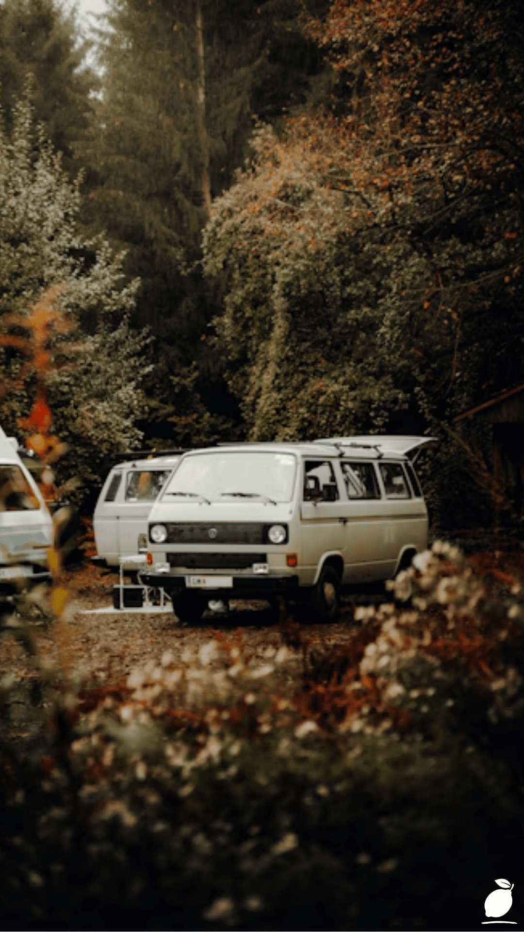 Easy  Guide to the Hippie Garden Ideas