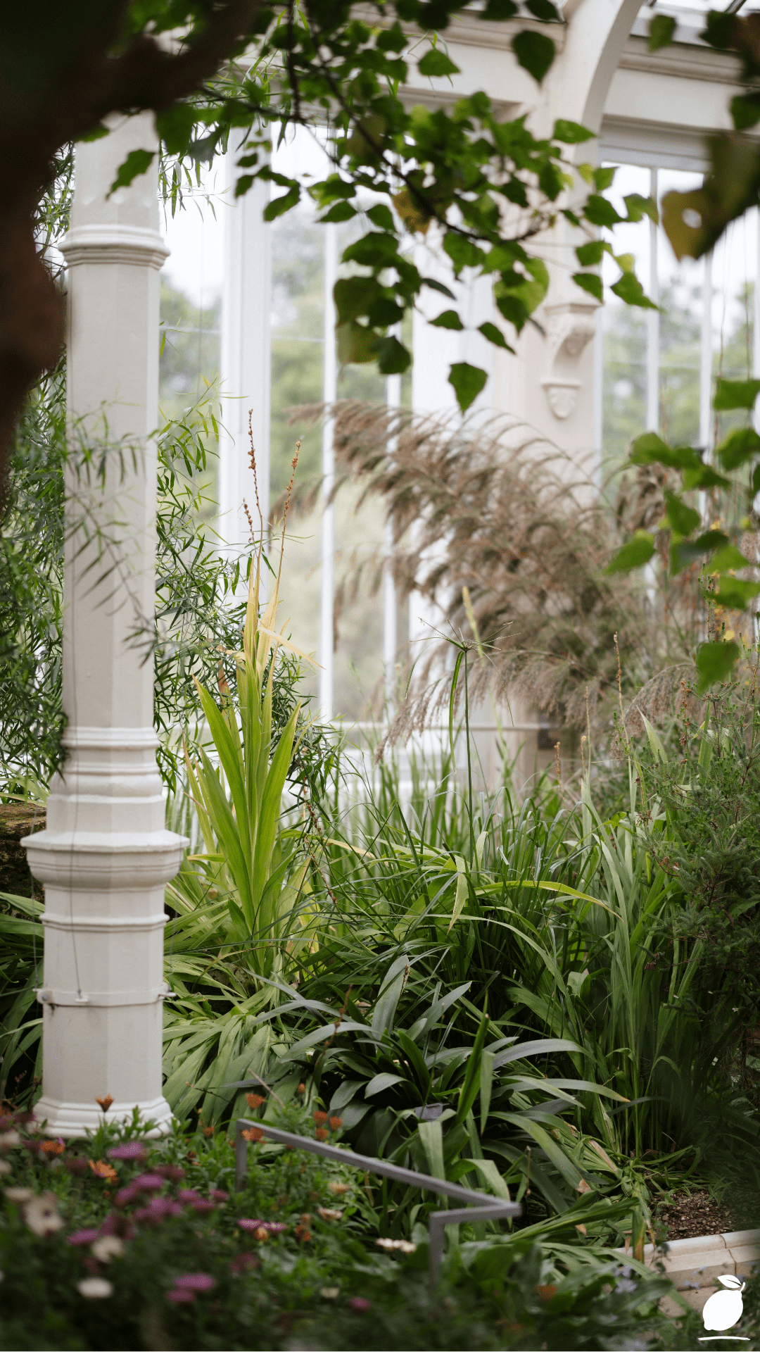 3 Steps to Bring Your Magical Garden Ideas to Life