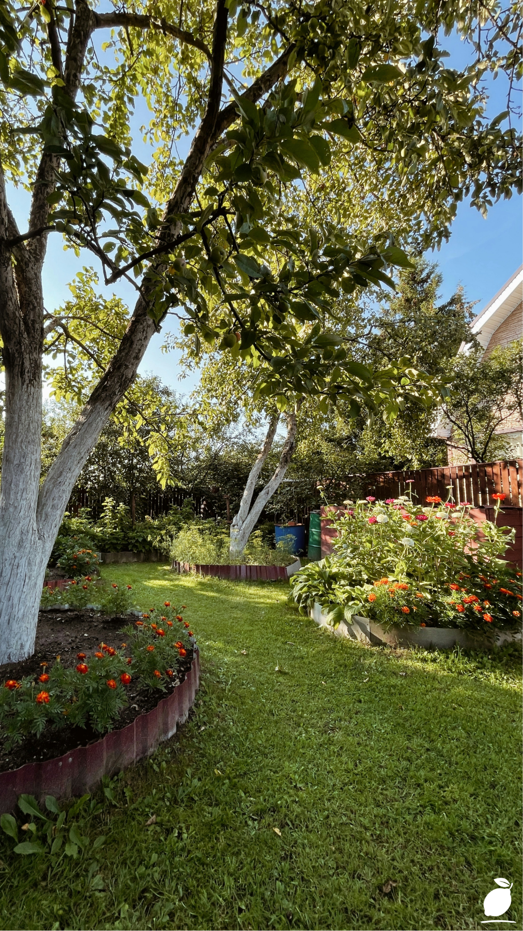 The Best DIY Backyard Ideas for Your Home