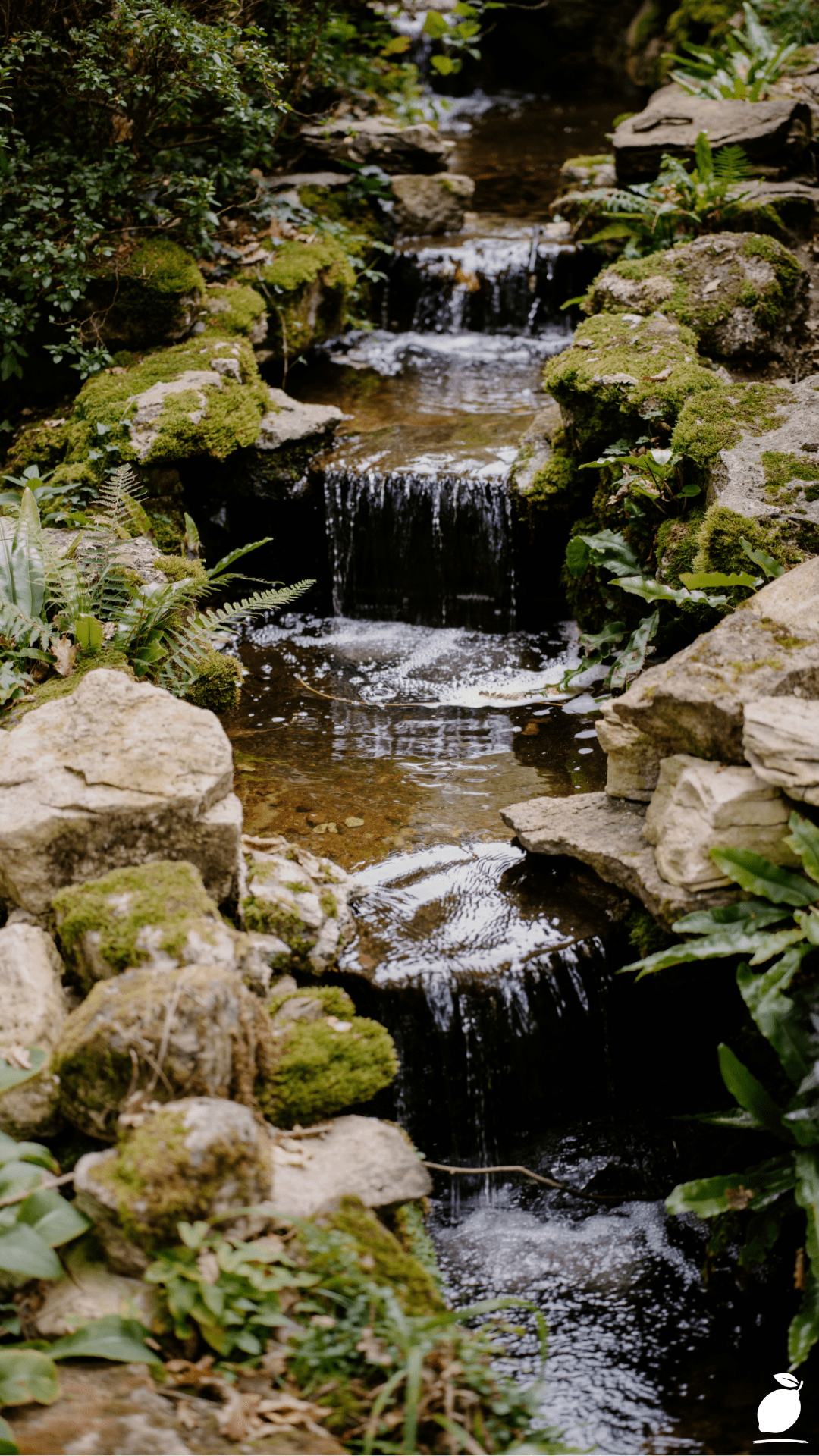 Transforming Your Garden with the Right Types of Landscaping Rocks