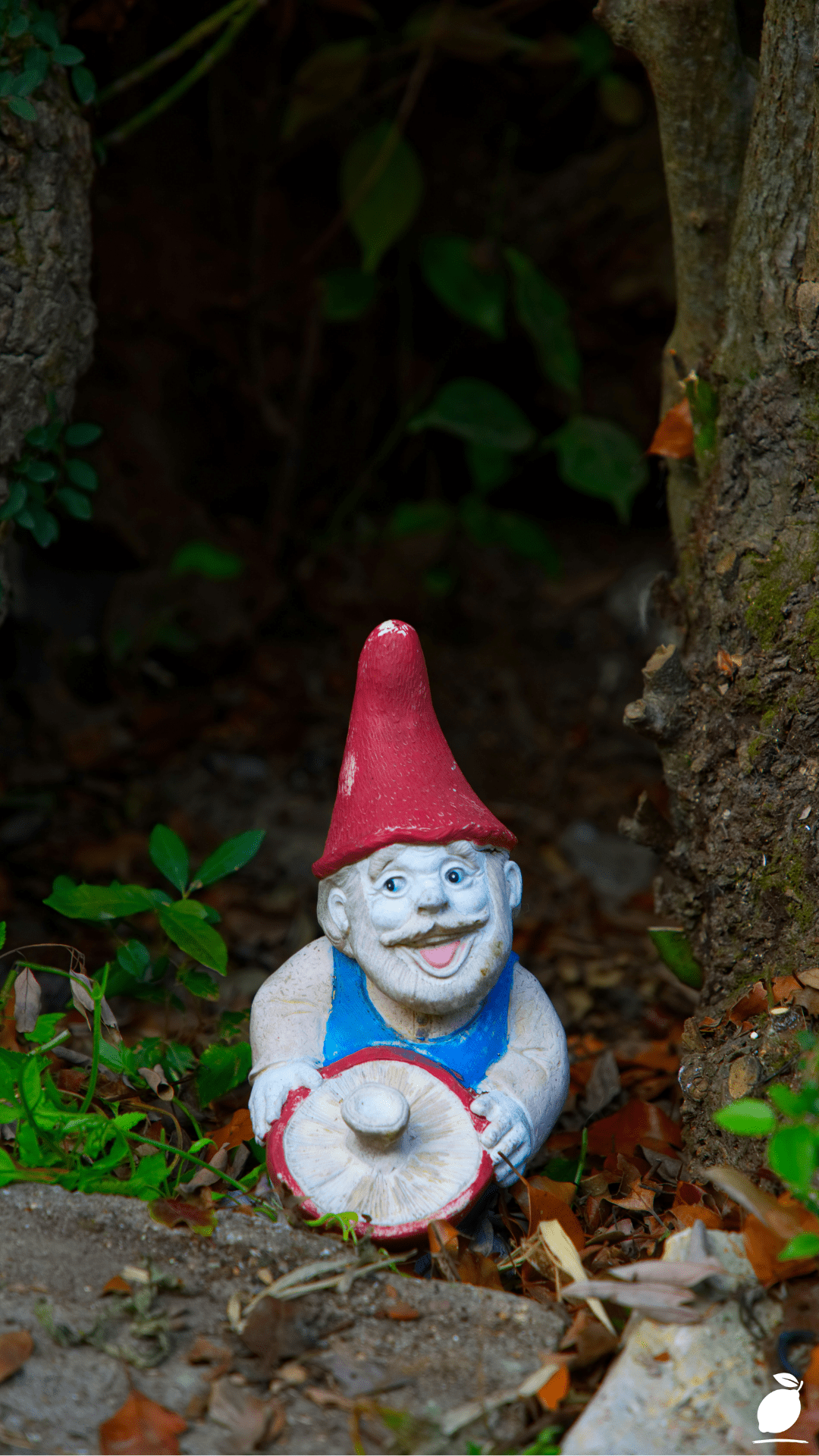 How Fairy Garden Ideas Can Ground Your Busy Life