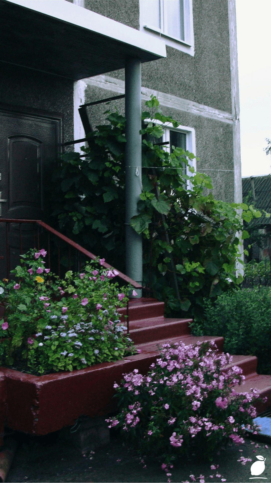 How to Master Spring Front Porch Decor Ideas for a Stress-Free Welcome