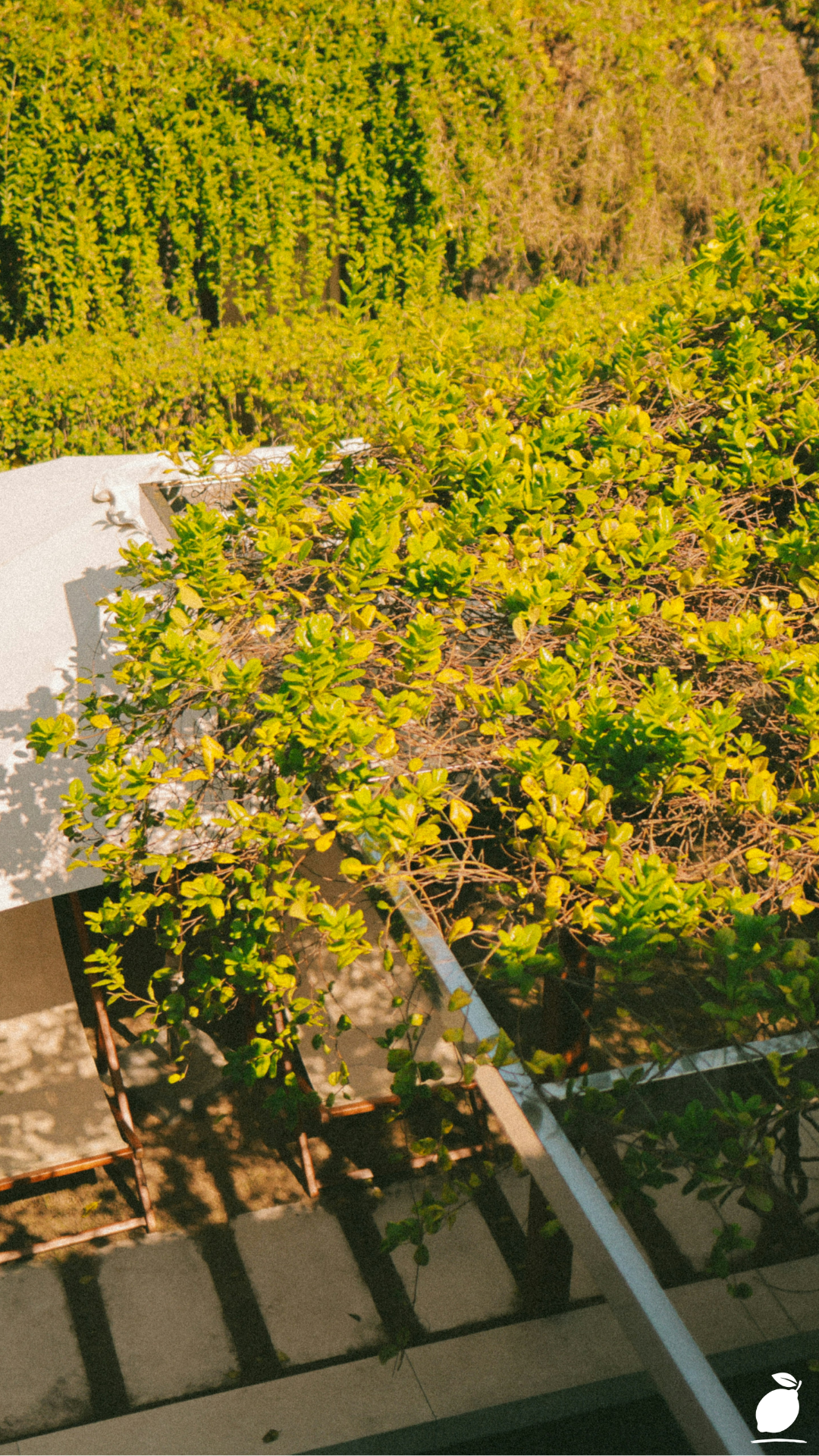 Transforming Your House with Landscaping Ideas Around Deck Areas