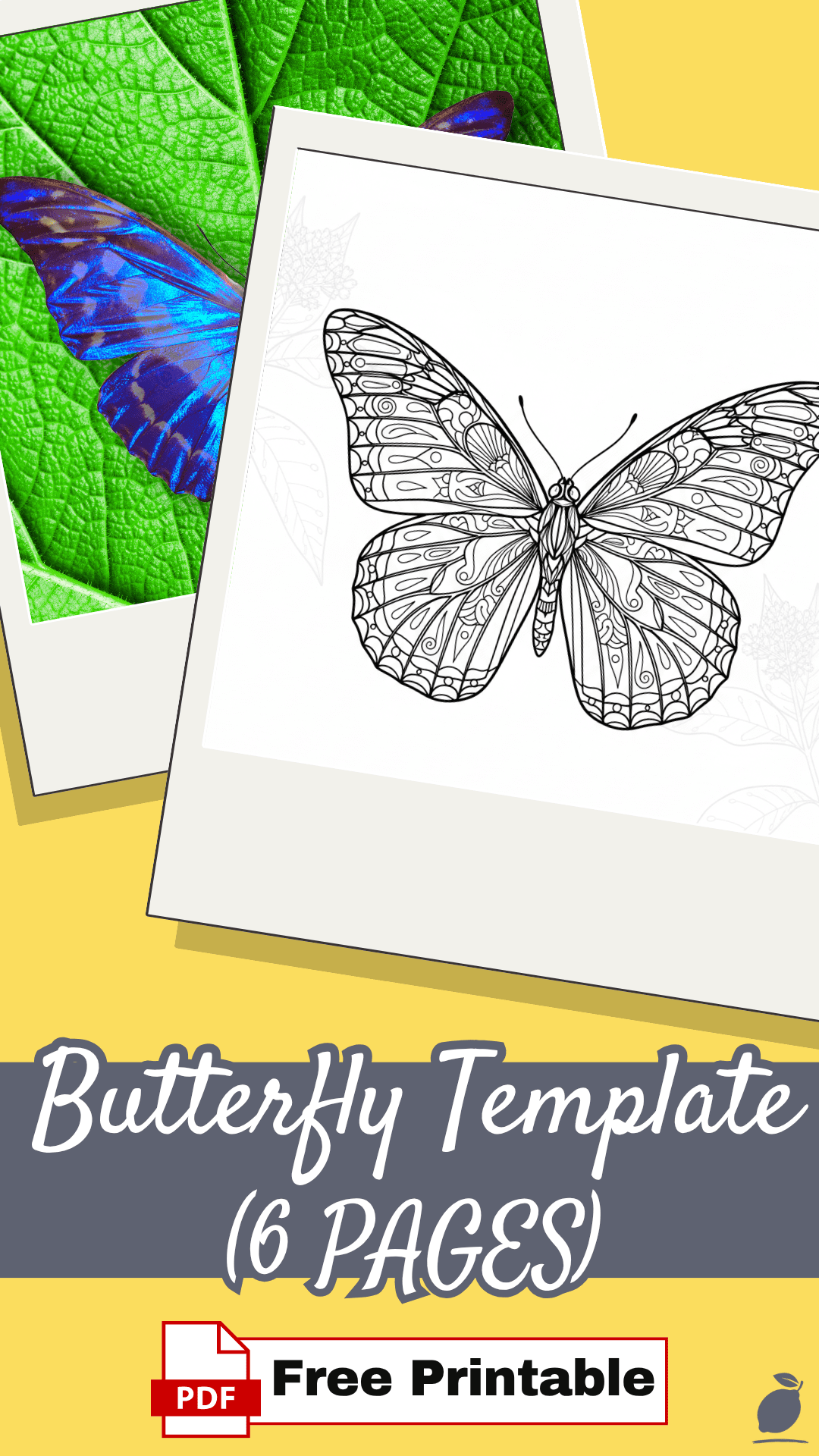 How a Butterfly Template Restores Your Daily Focus
