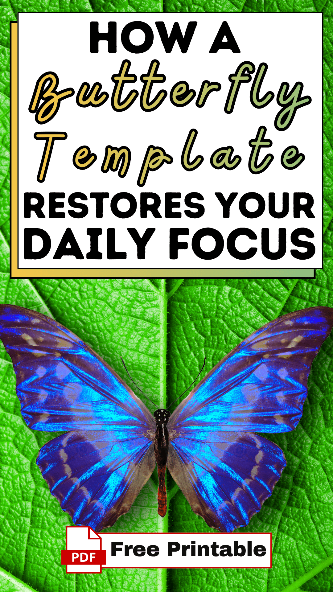How a Butterfly Template Restores Your Daily Focus