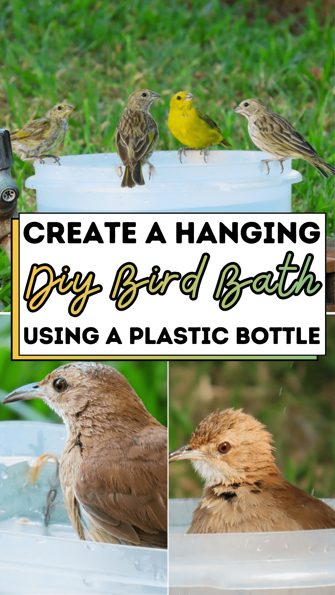 Create a Hanging Diy Bird Bath Using a Plastic Bottle
