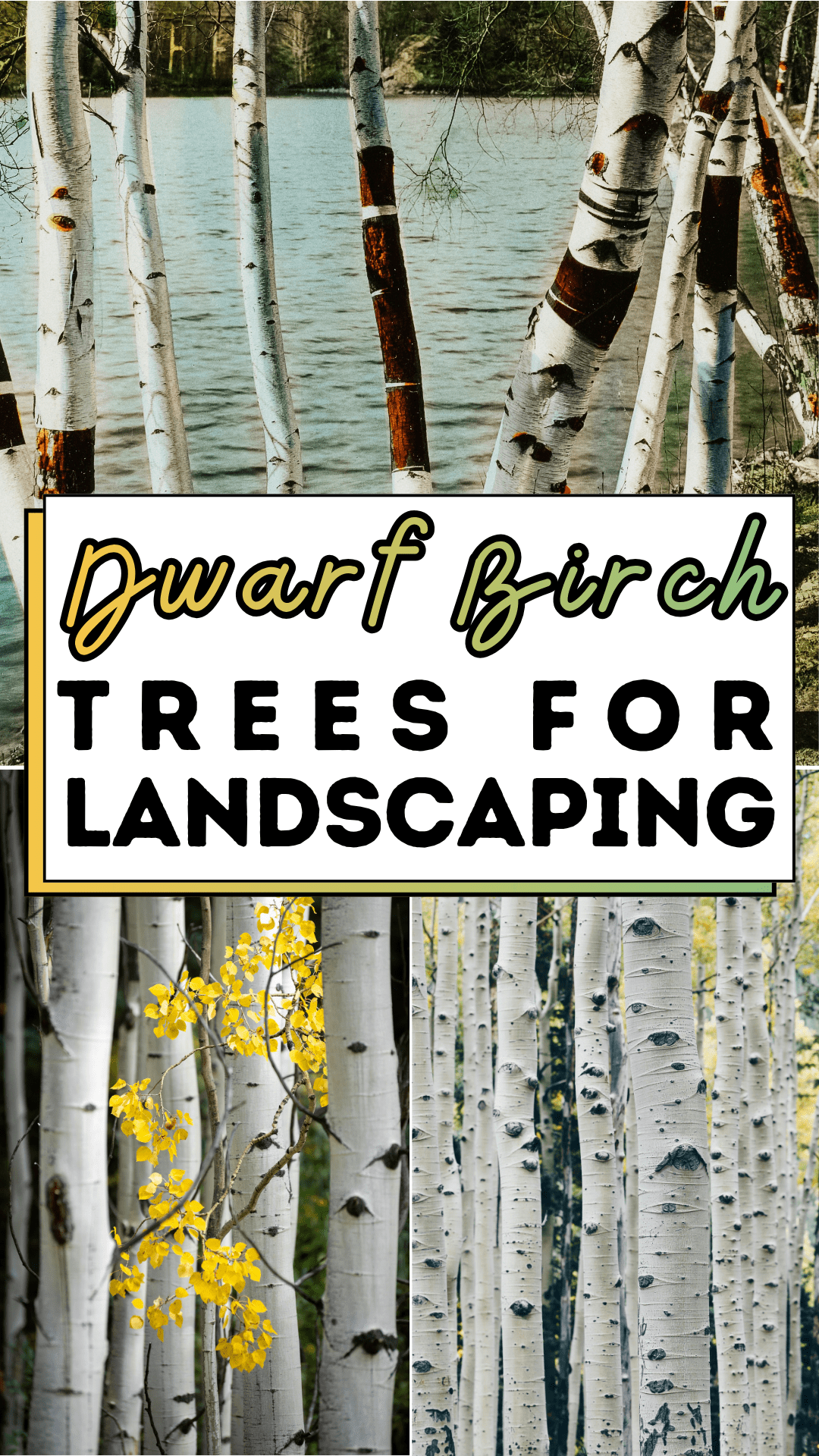 How To Keep a Peach Tree Small