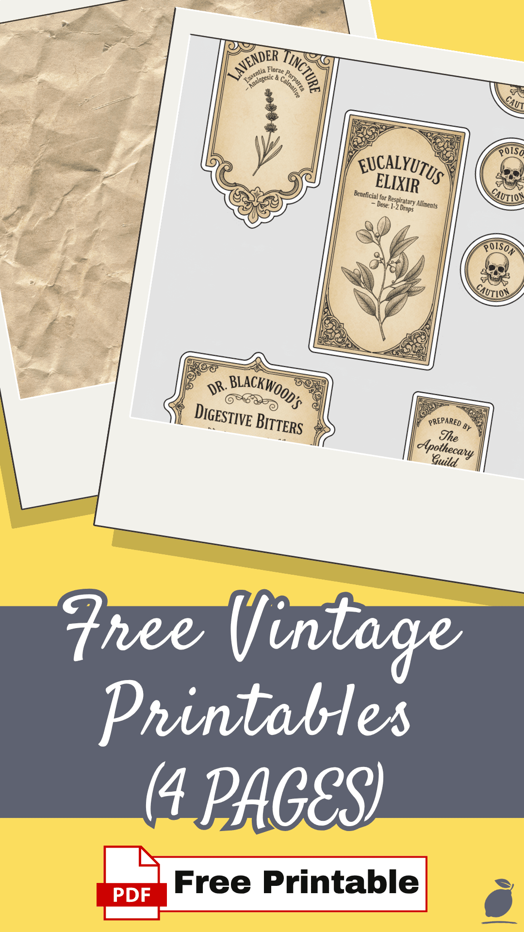 How to Organize Your Life with Free Vintage Printables