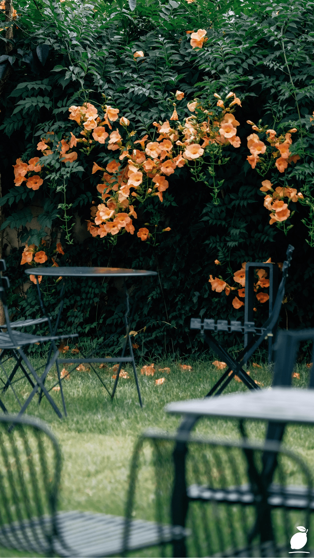 How to Create a Beautiful Shade Garden Entrance