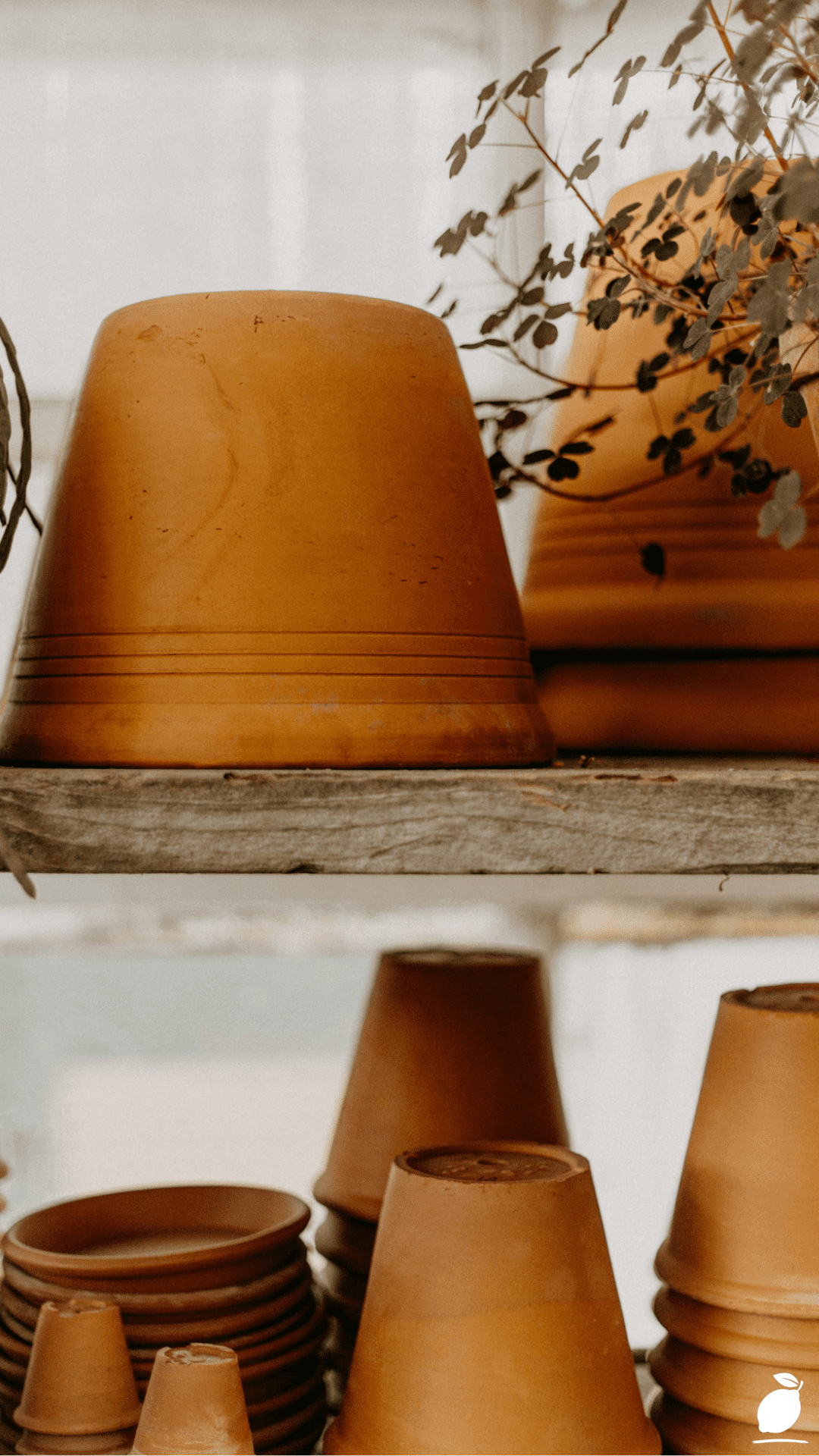 How To Make Terracotta Pots Look Old