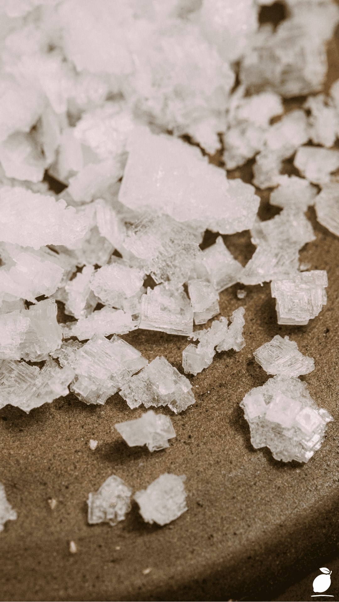 Epsom Salt For Plants: Fertilize Hydrangea Plant