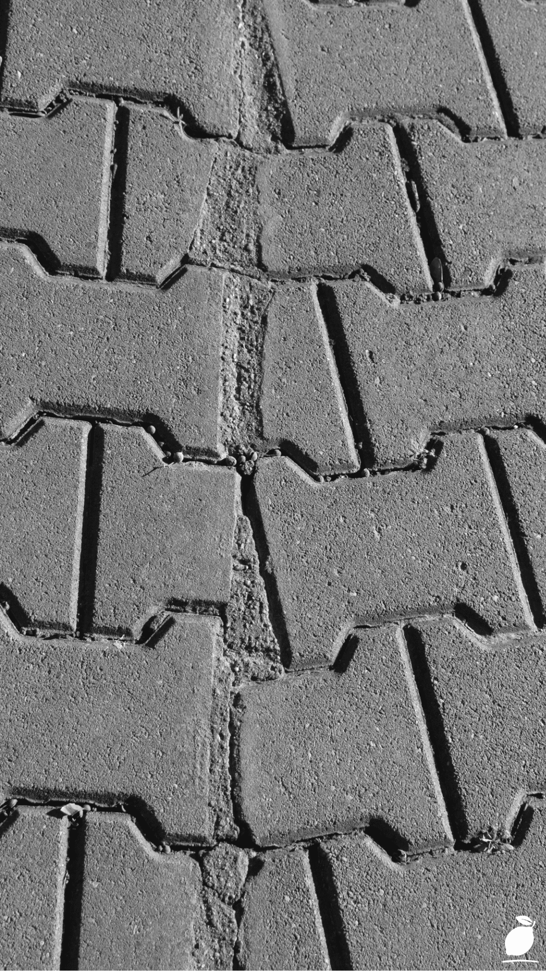 Restoring a Crumbling Flagstone Path