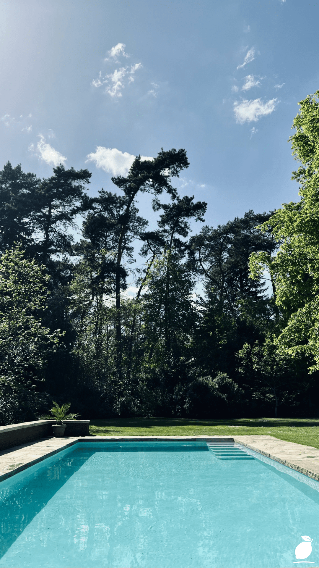 Inground Pool ideas: Things You Must Know Before You Buy one