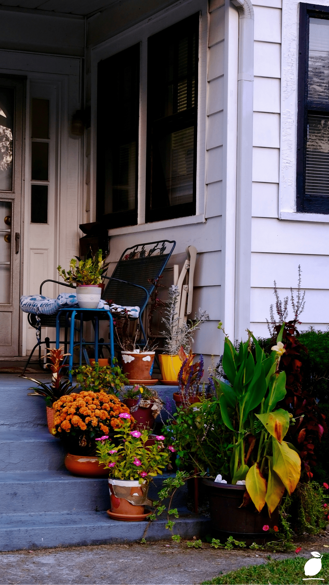 How Professional Front Porch Planters Make Your Entrance Beautiful