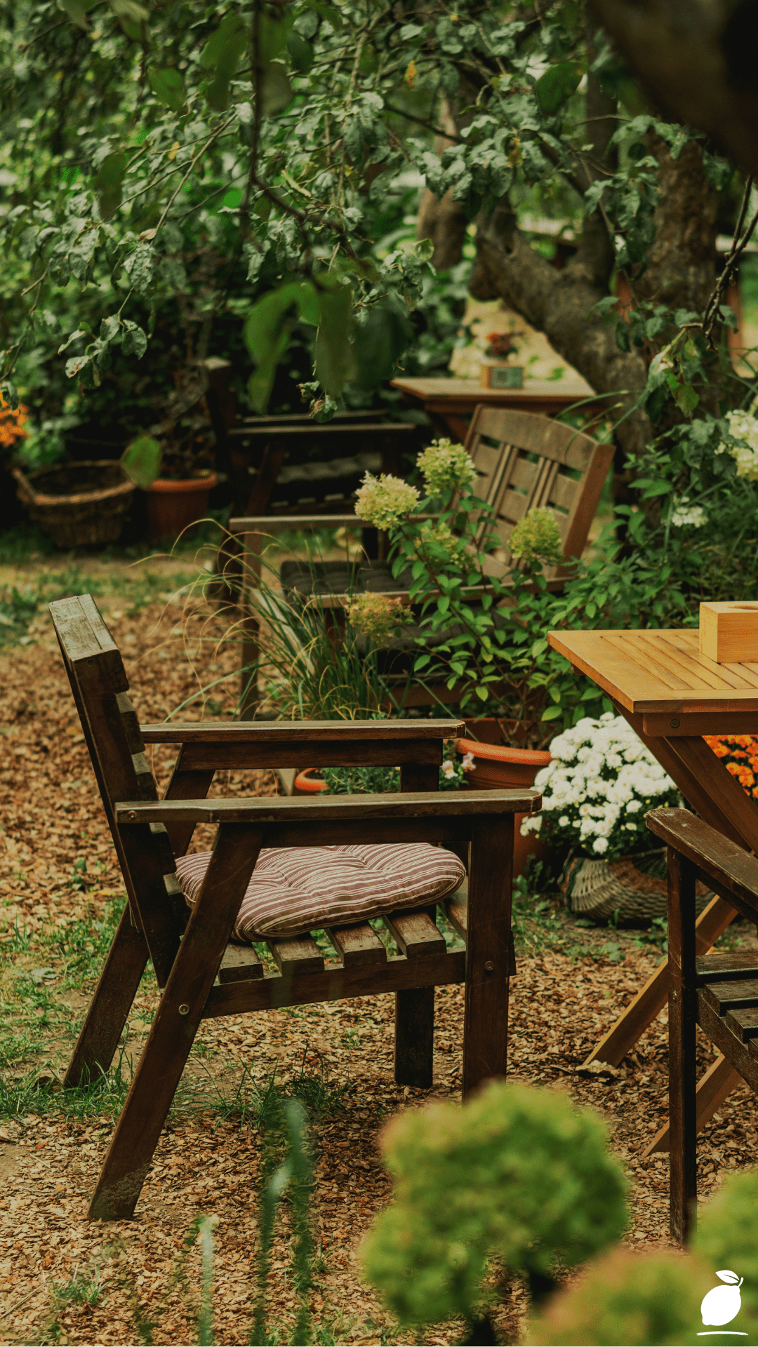 How to Create a Beautiful Shade Garden Entrance
