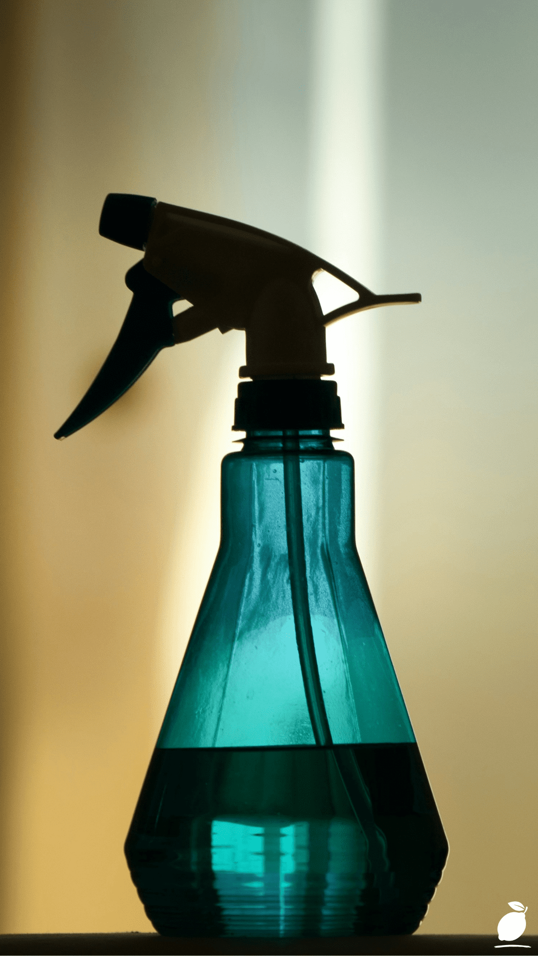 Indoor DIY Fly Trap Spray