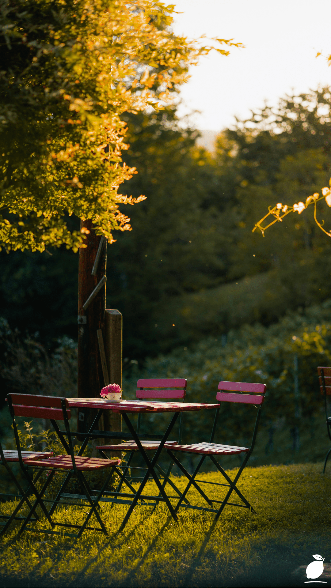 How to Create a Beautiful Shade Garden Entrance