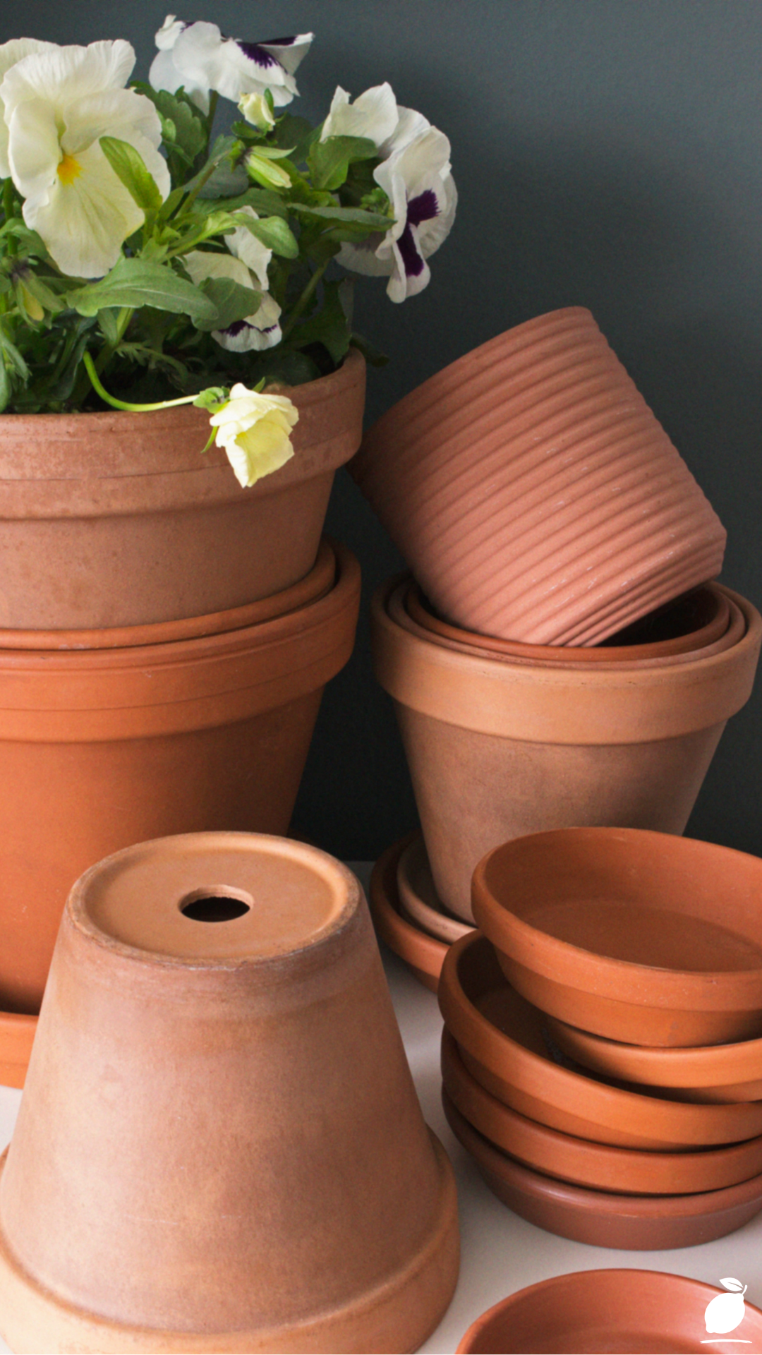 How To Make Terracotta Pots Look Old