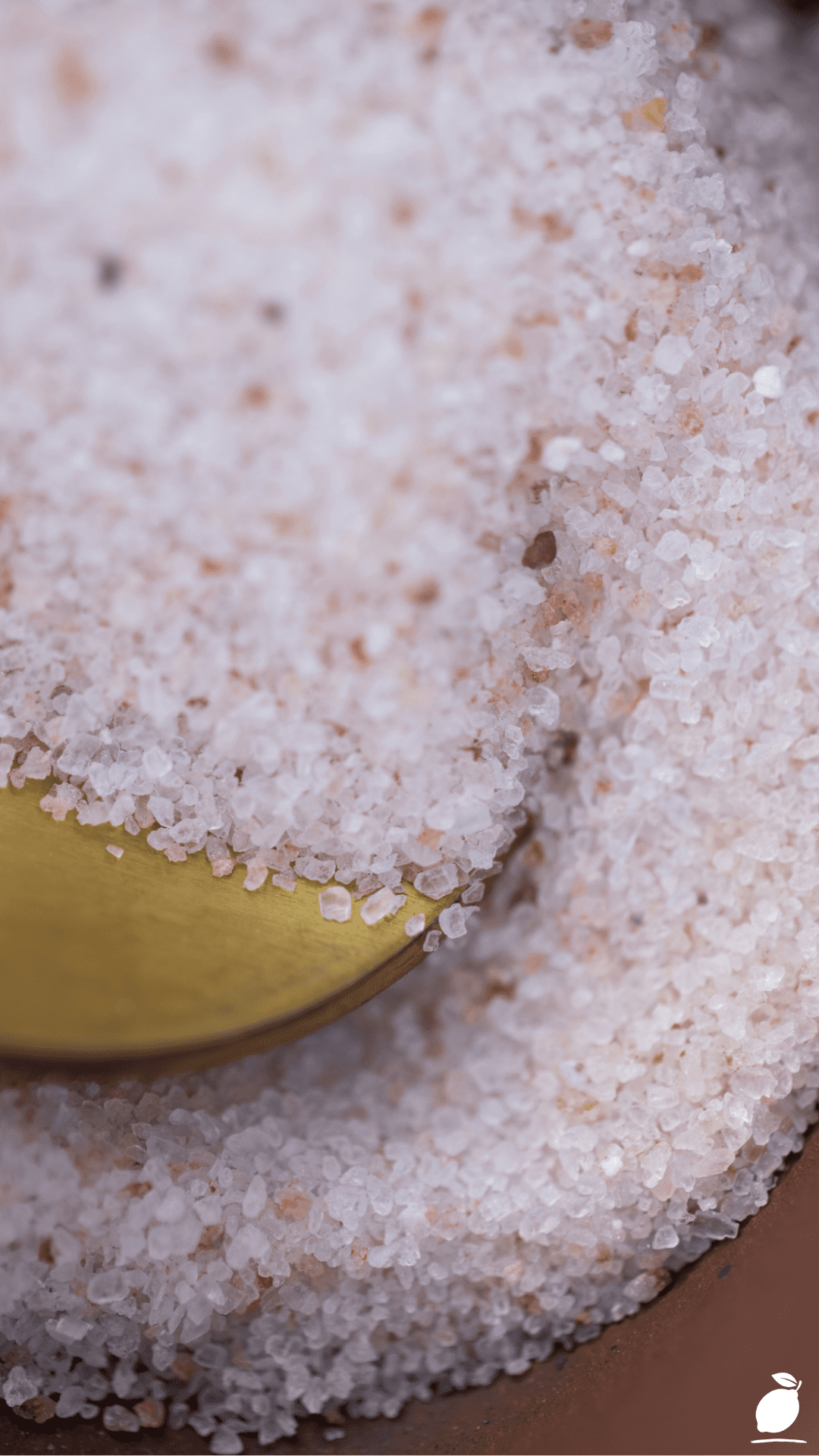 Epsom Salt For Plants: Fertilize Hydrangea Plant