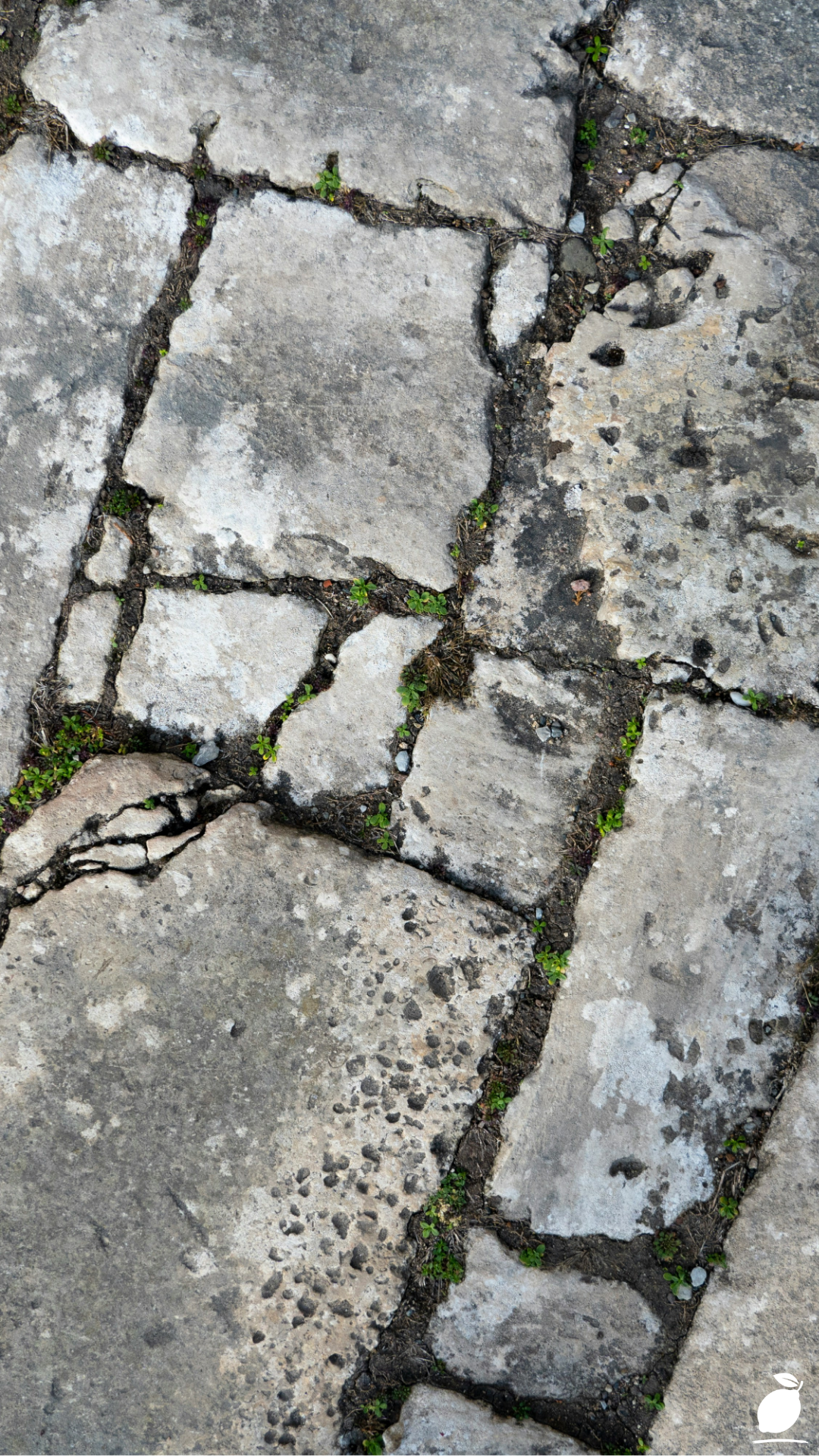 Restoring a Crumbling Flagstone Path
