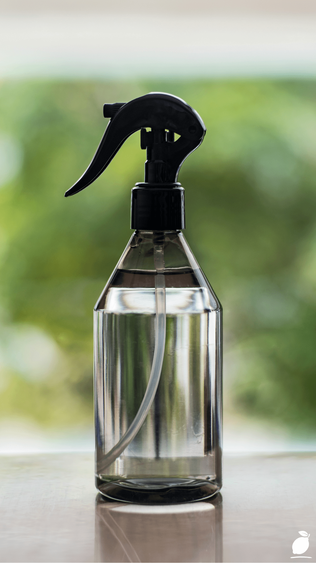 Indoor DIY Fly Trap Spray