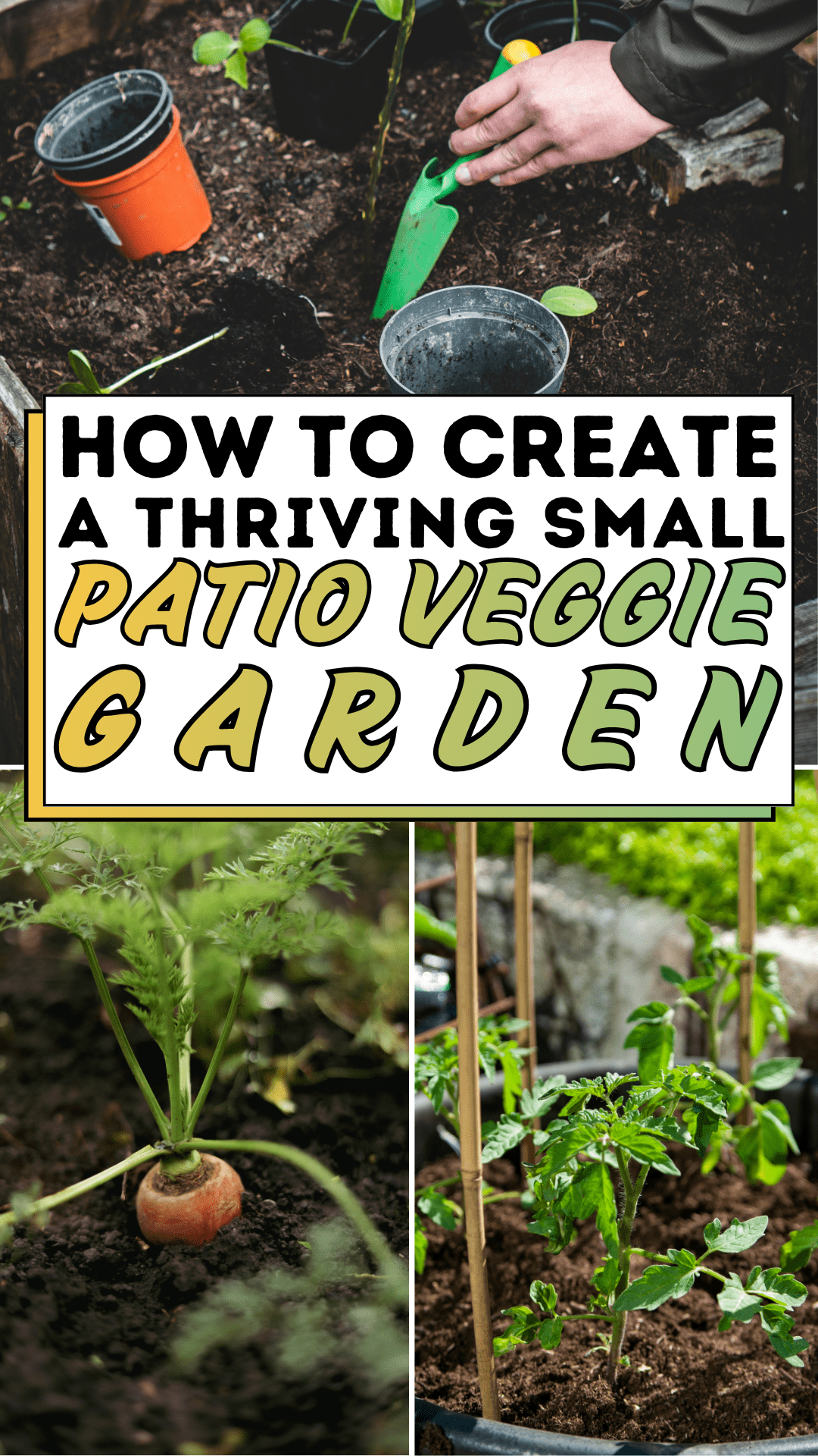 How To Create A Thriving Small Patio Veggie Garden