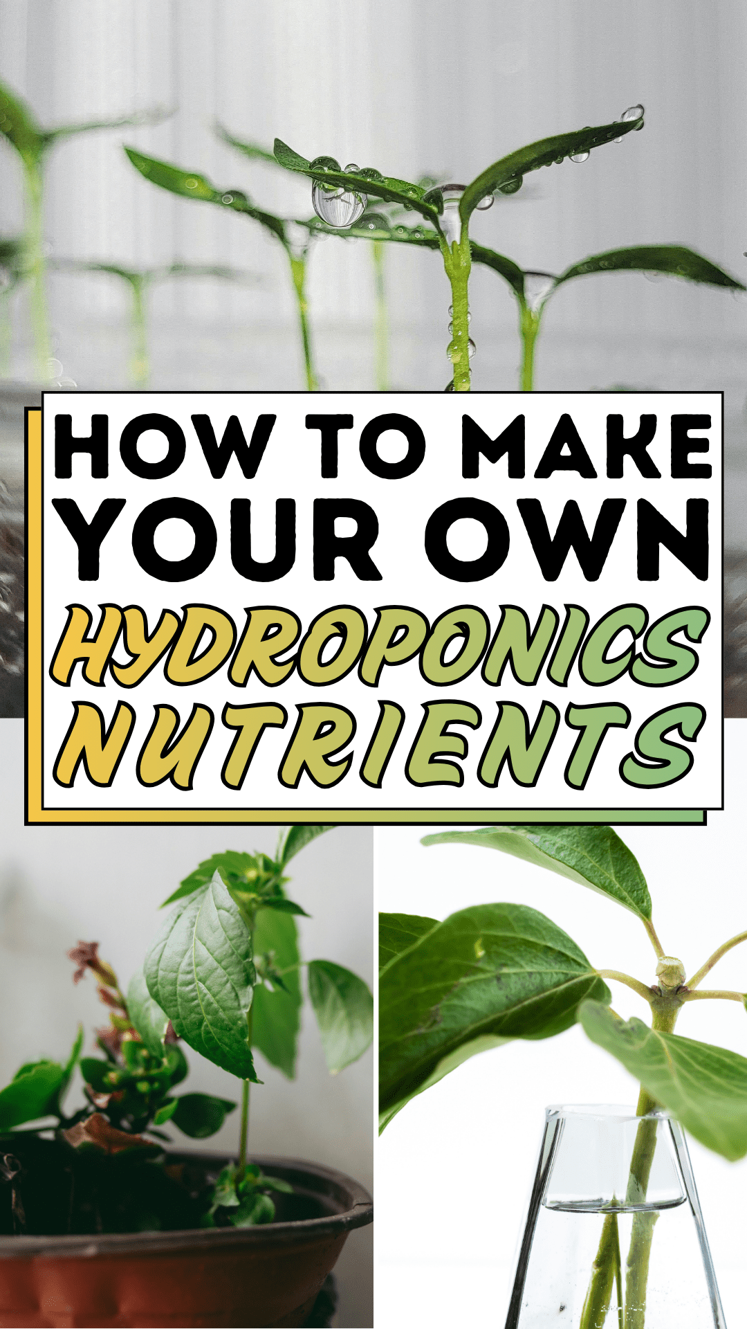 How to Make Your Own Hydroponic Nutrients
