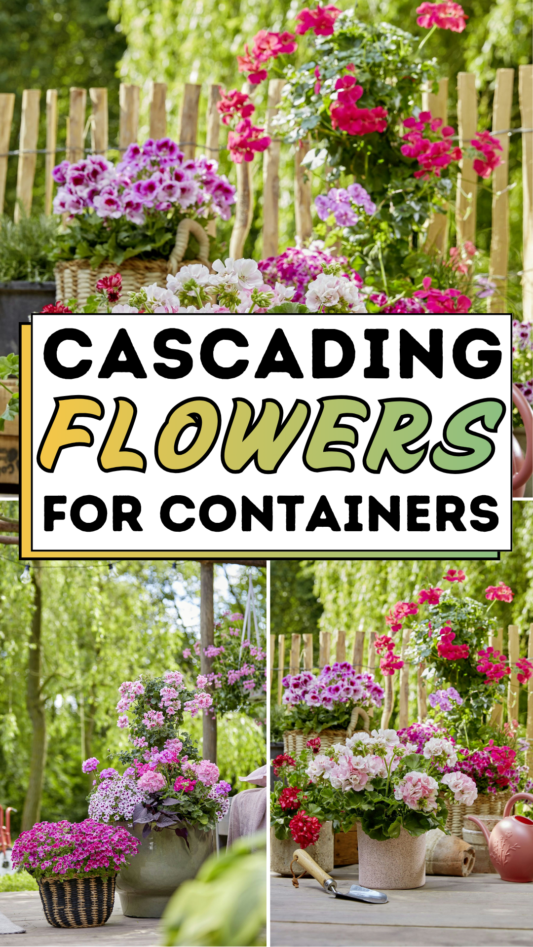 Cascading Flowers For Containers