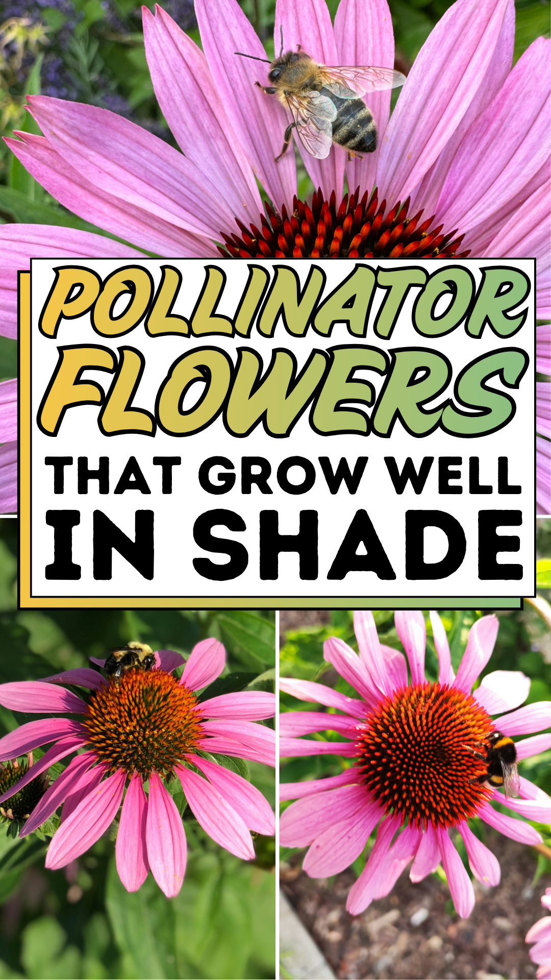 Pollinator Flowers That Grow Well in Shade