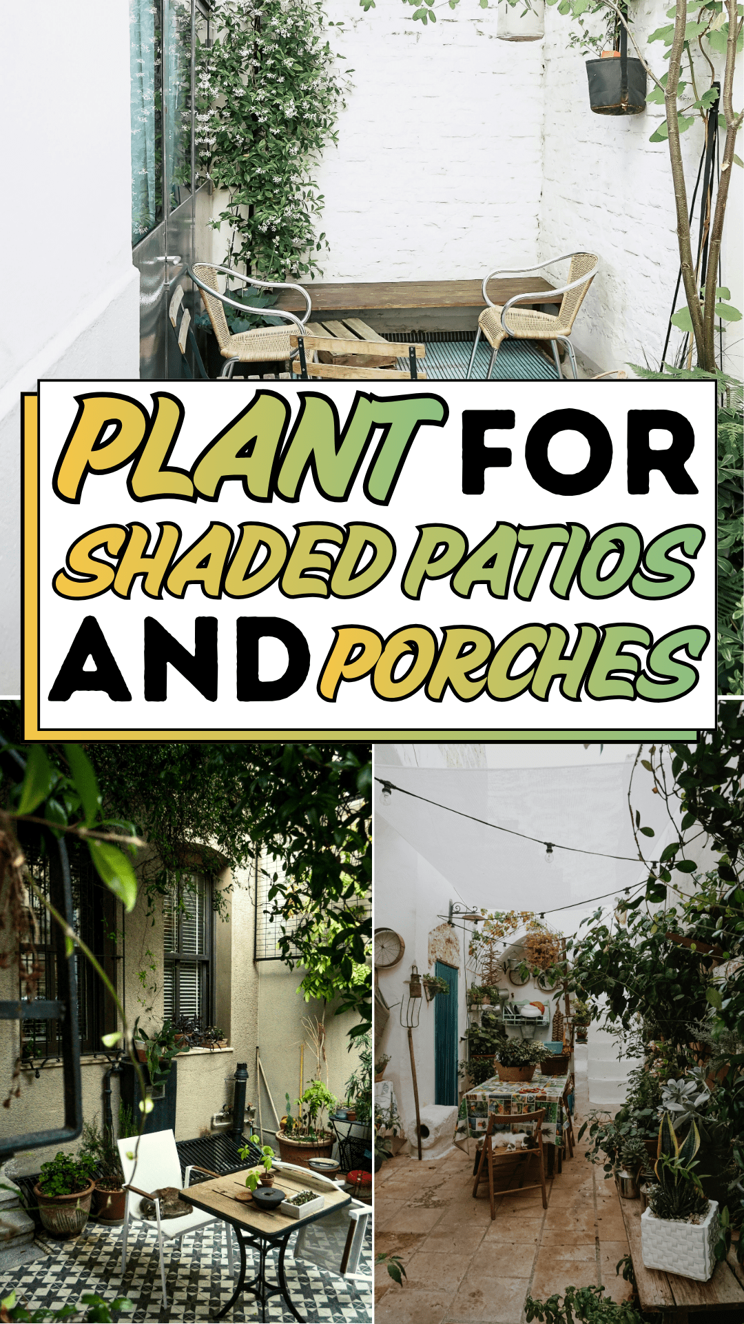 Plant For Shaded Patios And Porches