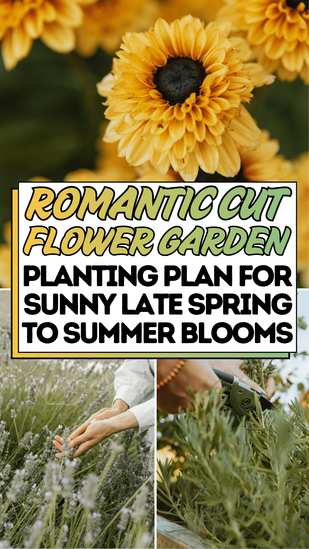 Romantic Cut Flower Garden Planting Plan For Sunny Late Spring To Summer Blooms