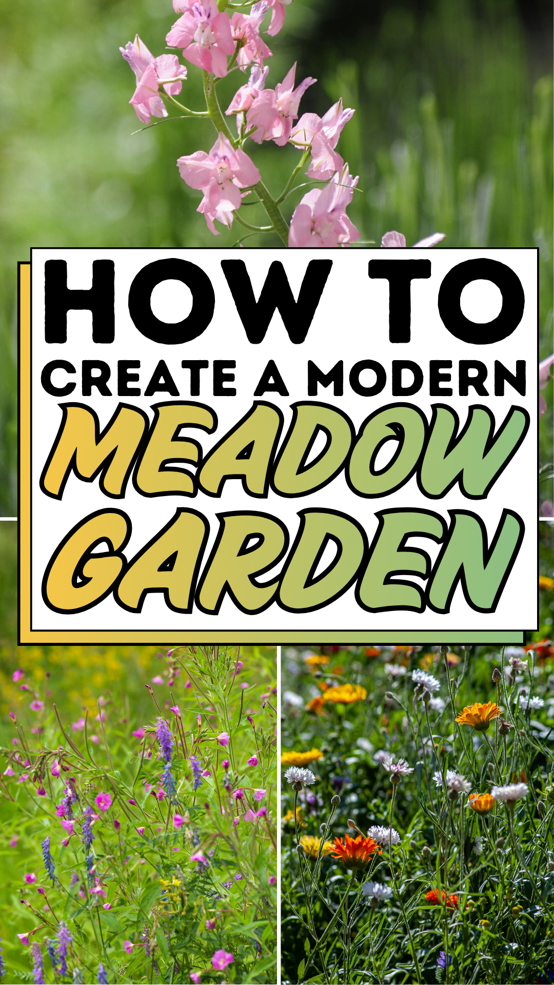 How To Create a Modern Meadow Garden