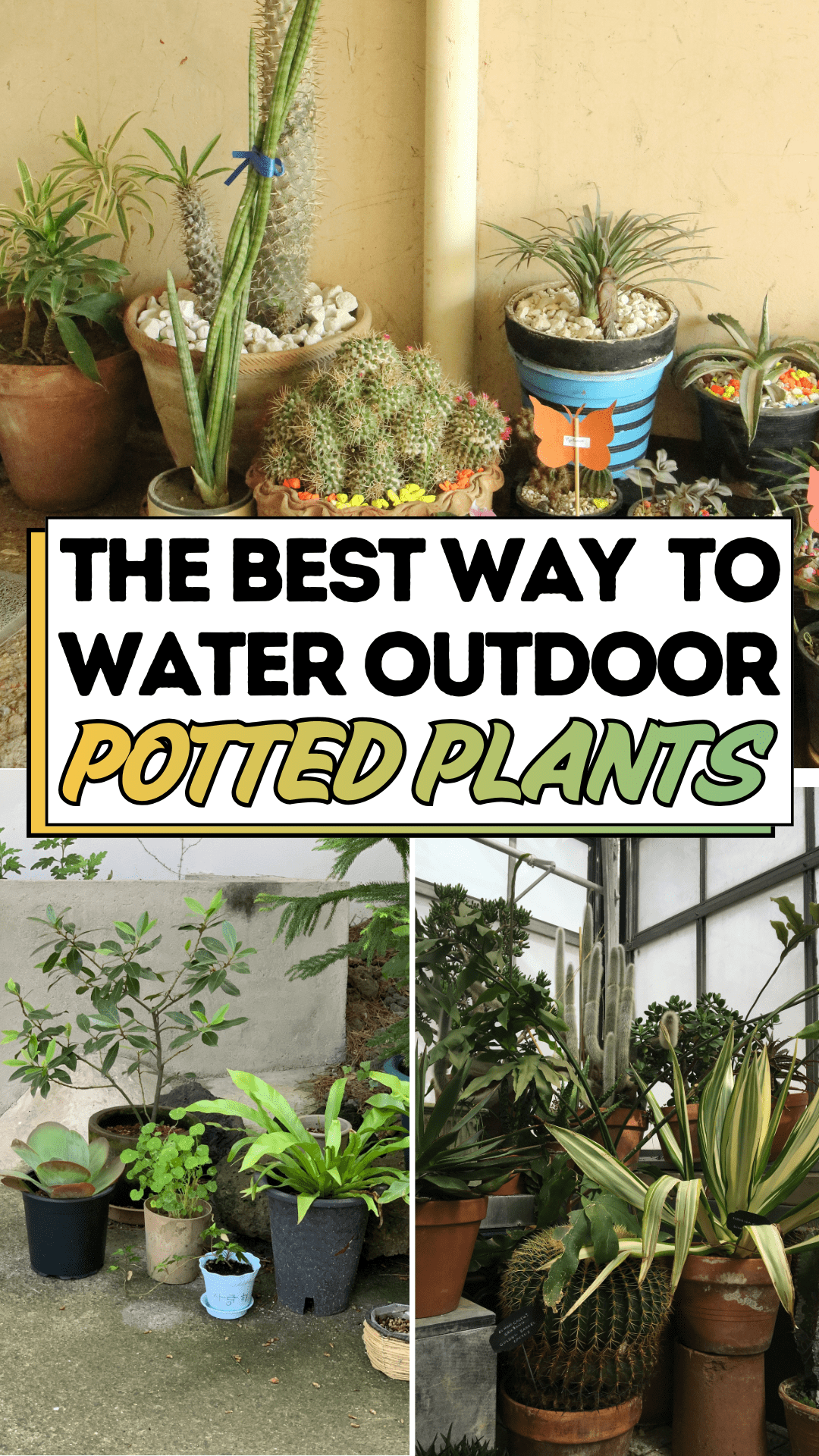 The Best Way To Water Outdoor Potted Plants